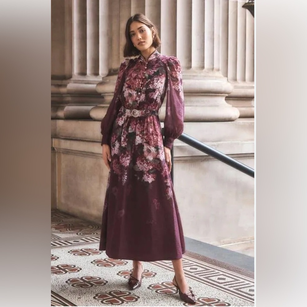 Ever New Peyton Long Sleeve Maxi Dress, Size 0